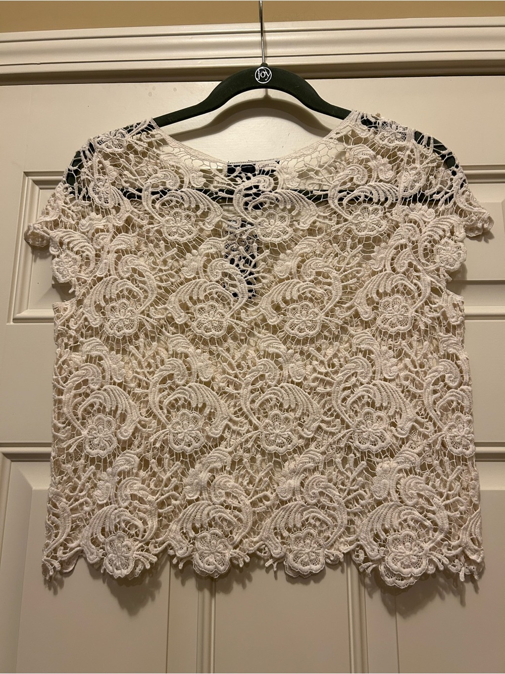 NWT INC International Concepts Lace Top